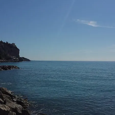 L'hippocampe * Menton